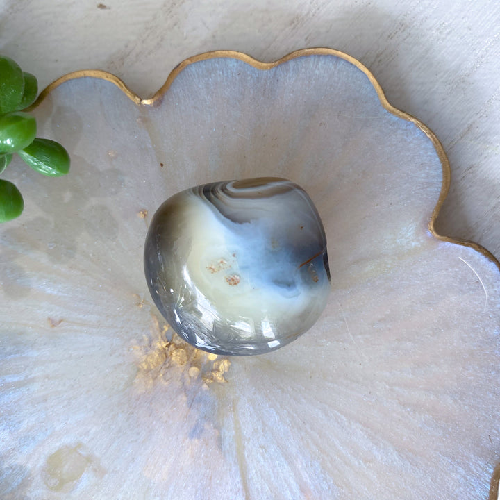 Clam Shape Botswana Agate Pebble - Exact Piece Ships