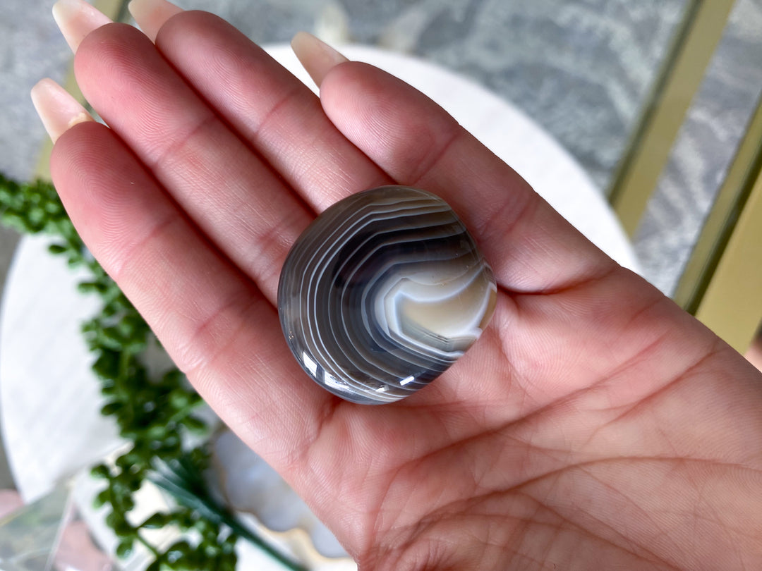 Clam Shape Botswana Agate Pebble - Exact Piece Ships