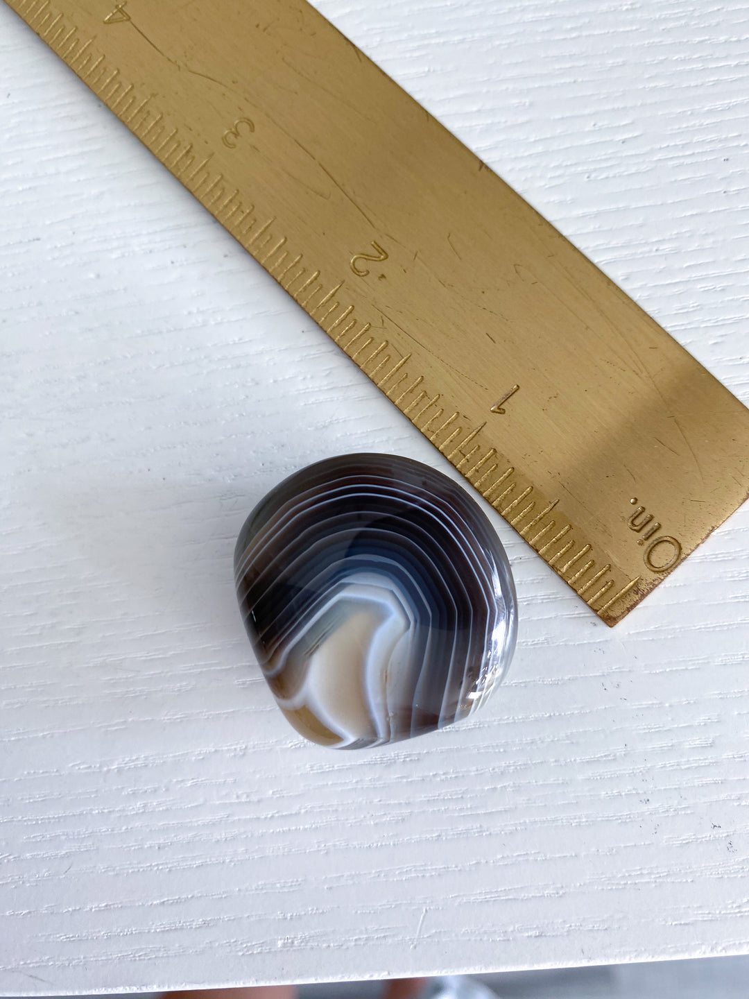 Clam Shape Botswana Agate Pebble - Exact Piece Ships
