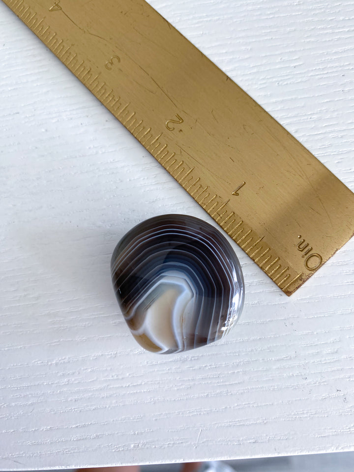 Clam Shape Botswana Agate Pebble - Exact Piece Ships