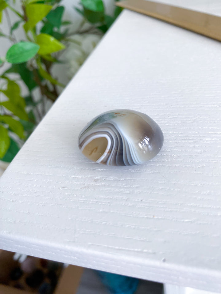 Clam Shape Botswana Agate Pebble - Exact Piece Ships