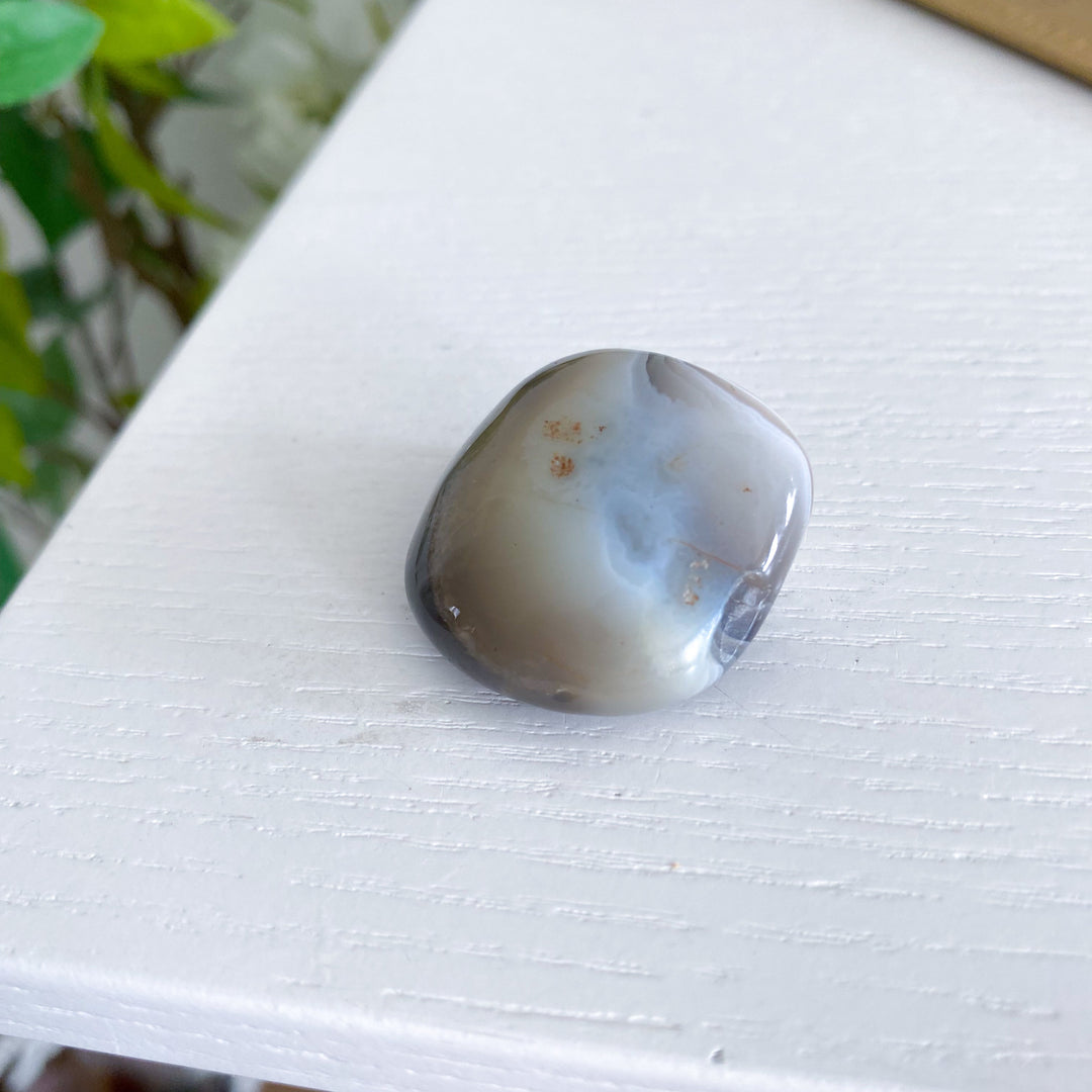 Clam Shape Botswana Agate Pebble - Exact Piece Ships