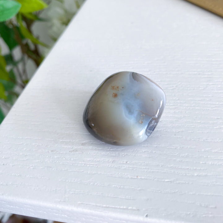 Clam Shape Botswana Agate Pebble - Exact Piece Ships