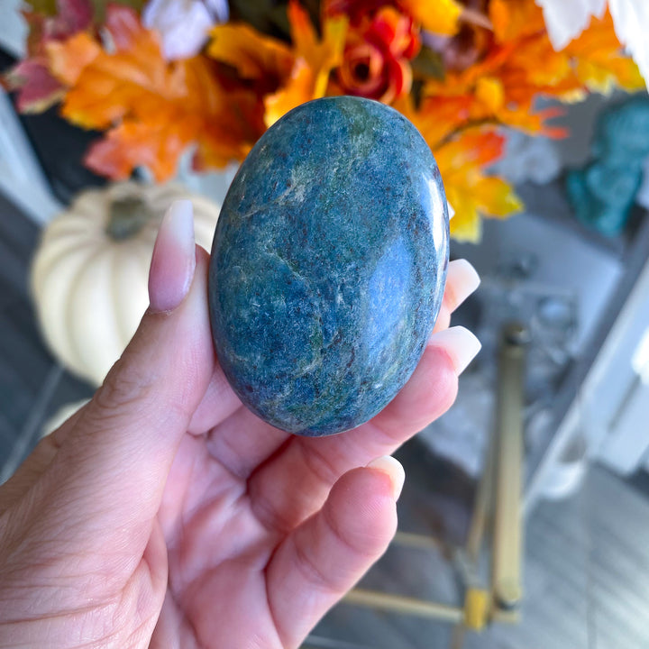 Ruby in Kyanite Palm Stone with Green 