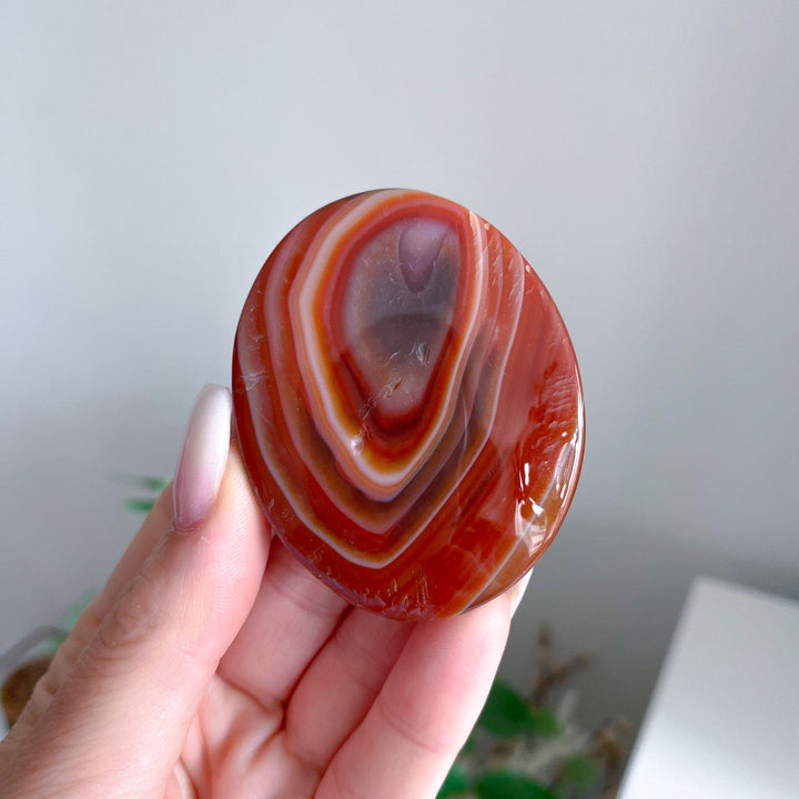 Carnelian Palm 