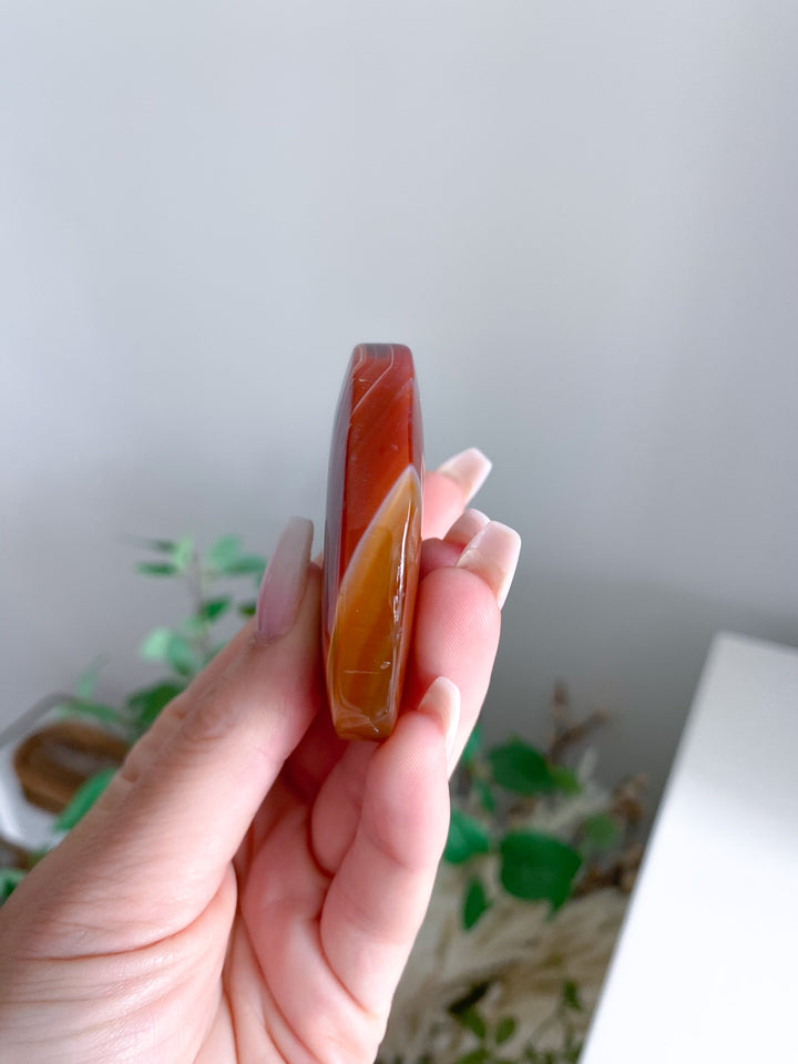 Carnelian Palm 