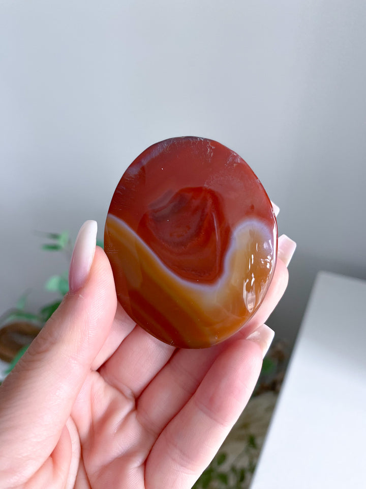 Carnelian Palm 