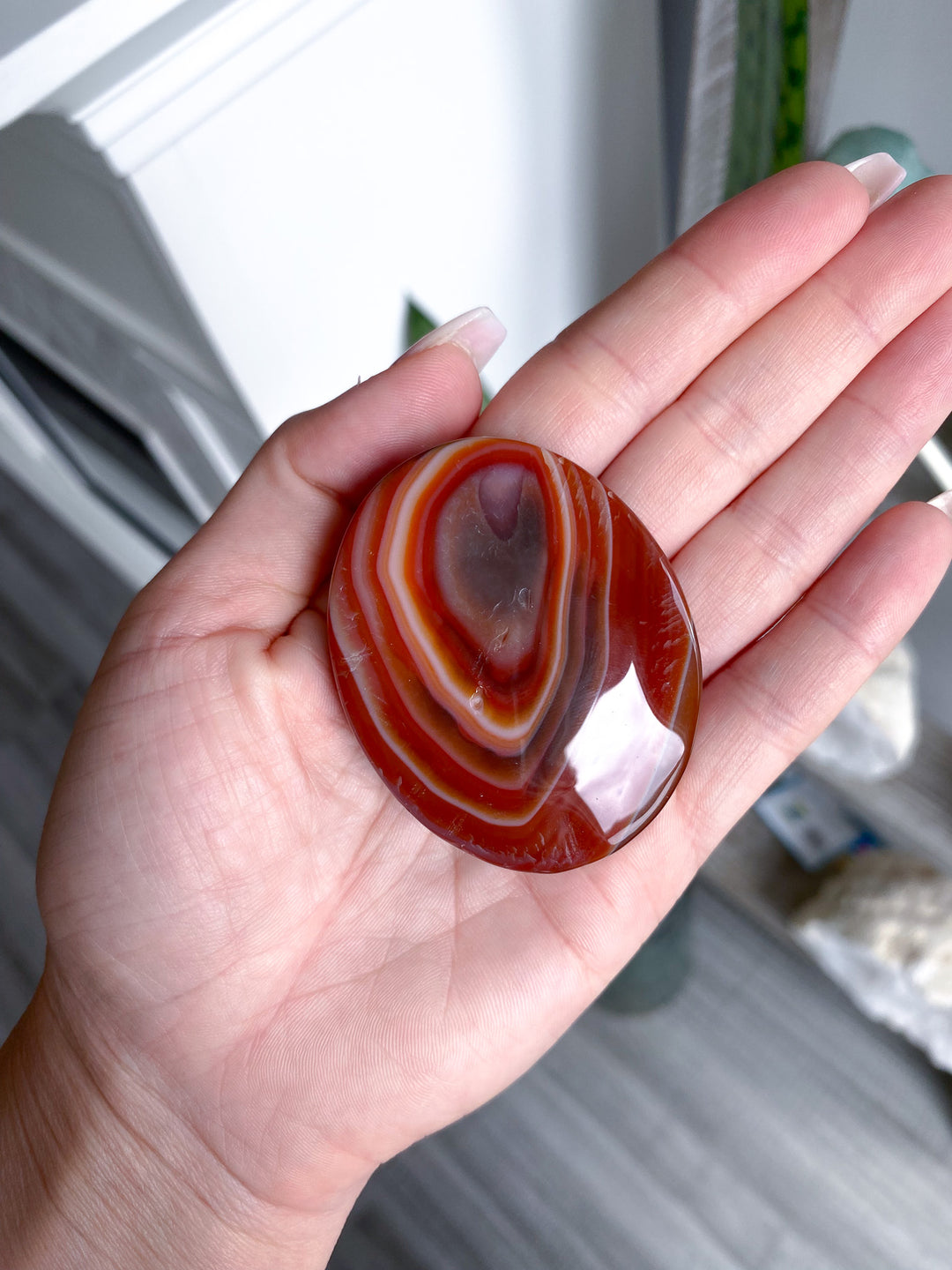 Carnelian Palm 