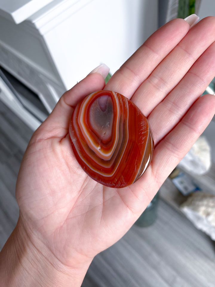 Carnelian Palm 