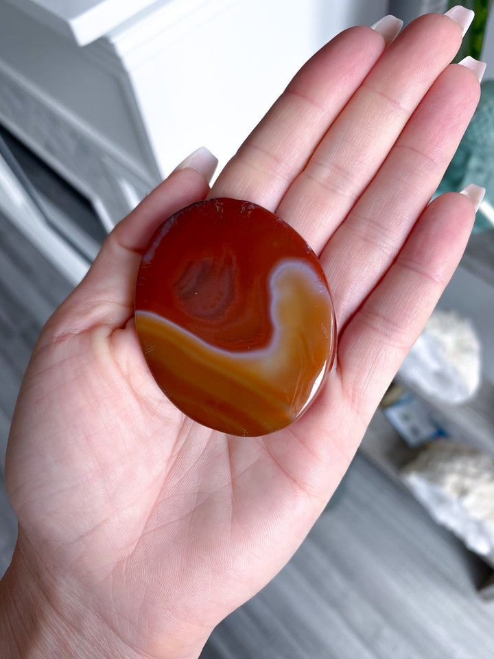 Carnelian Palm 