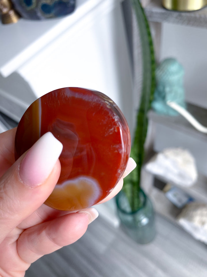 Carnelian Palm 