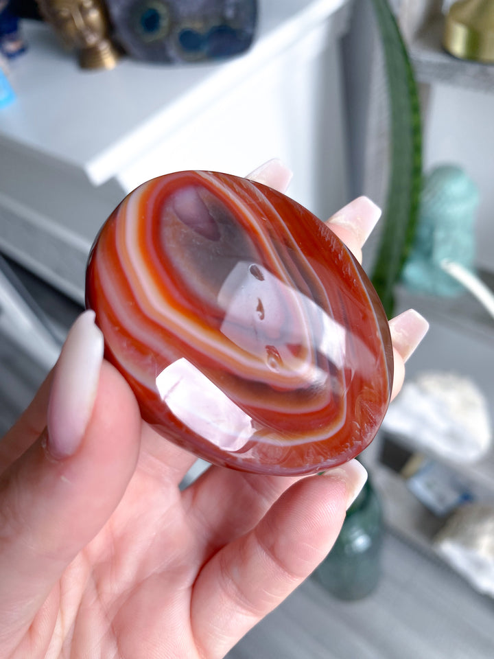 Carnelian Palm 