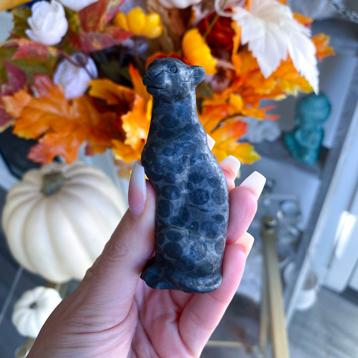 Dark Leopard Skin Jasper Leopard Carving