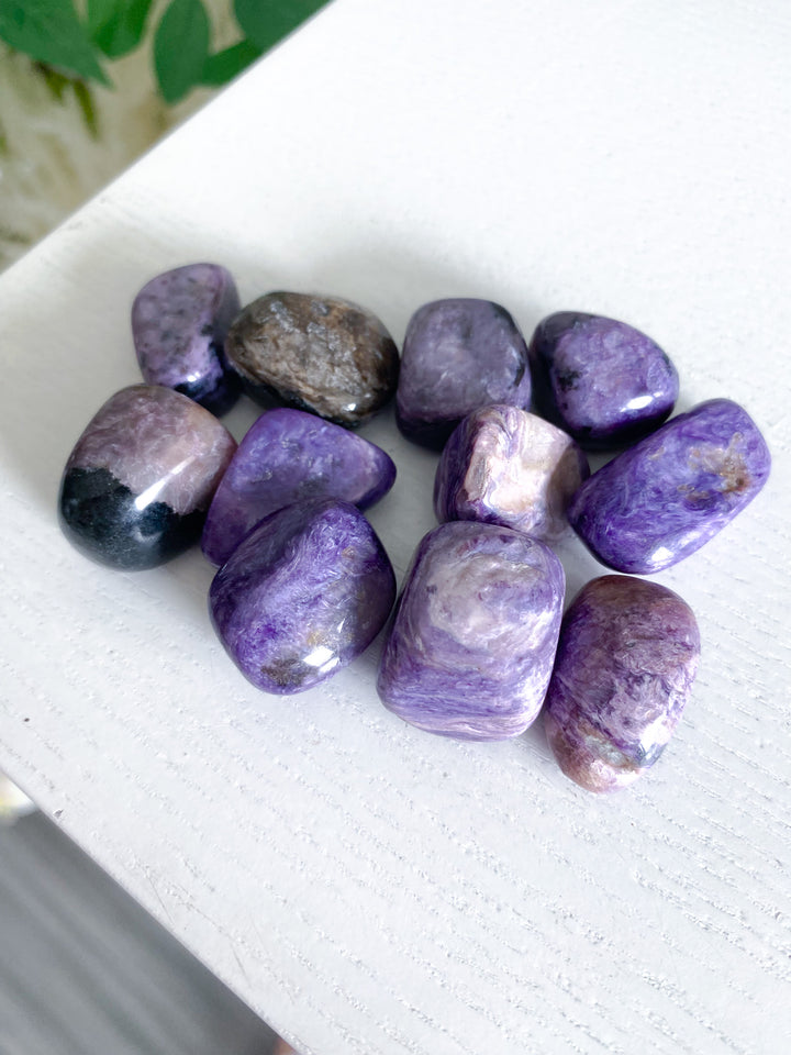 Chariote Tumble Stone - B Quality Polish