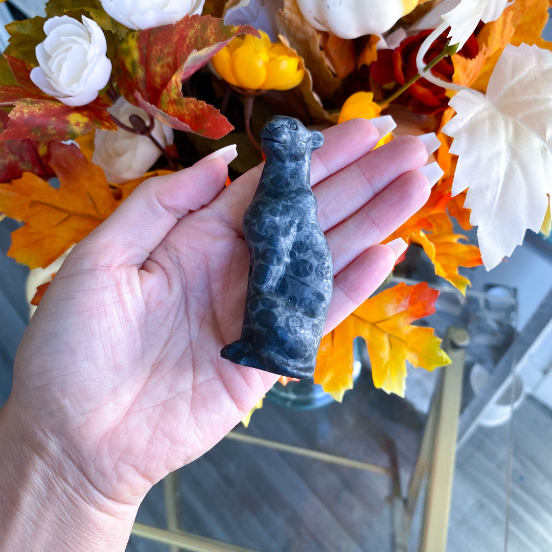 Dark Leopard Skin Jasper Leopard Carving