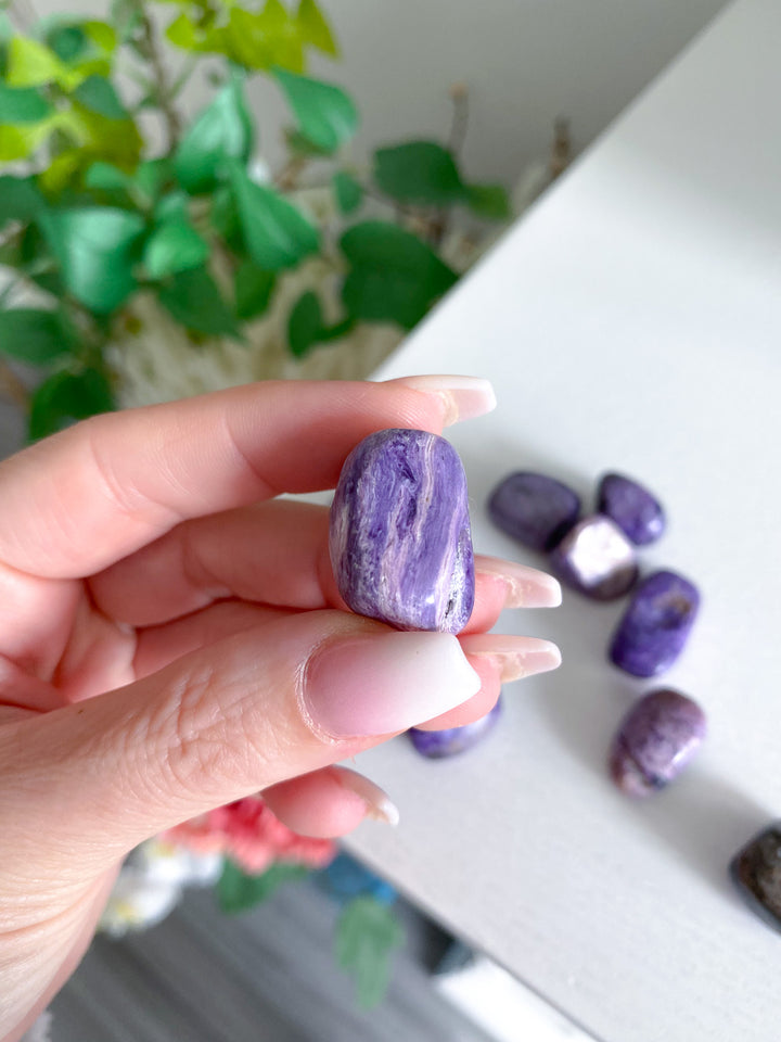 Chariote Tumble Stone - B Quality Polish