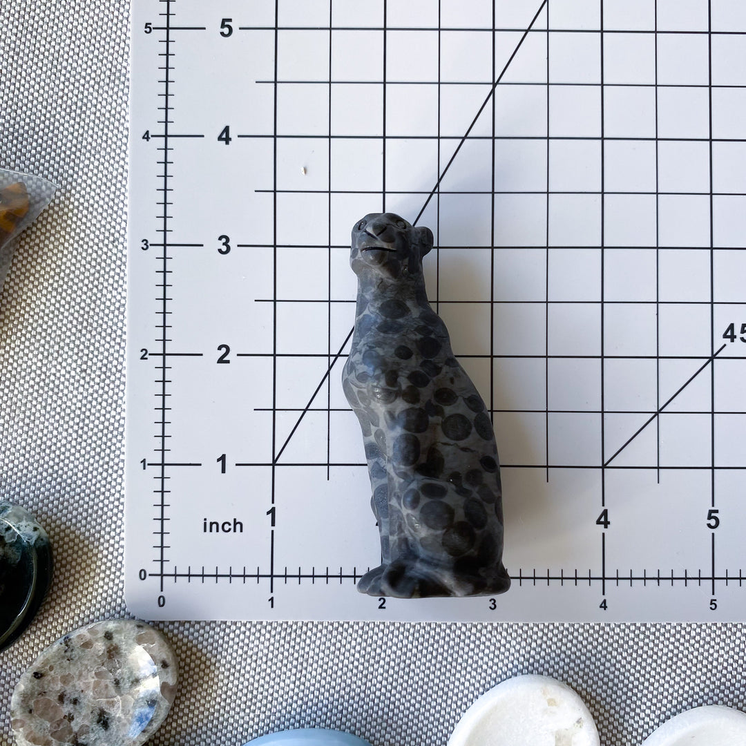 Dark Leopard Skin Jasper Leopard Carving