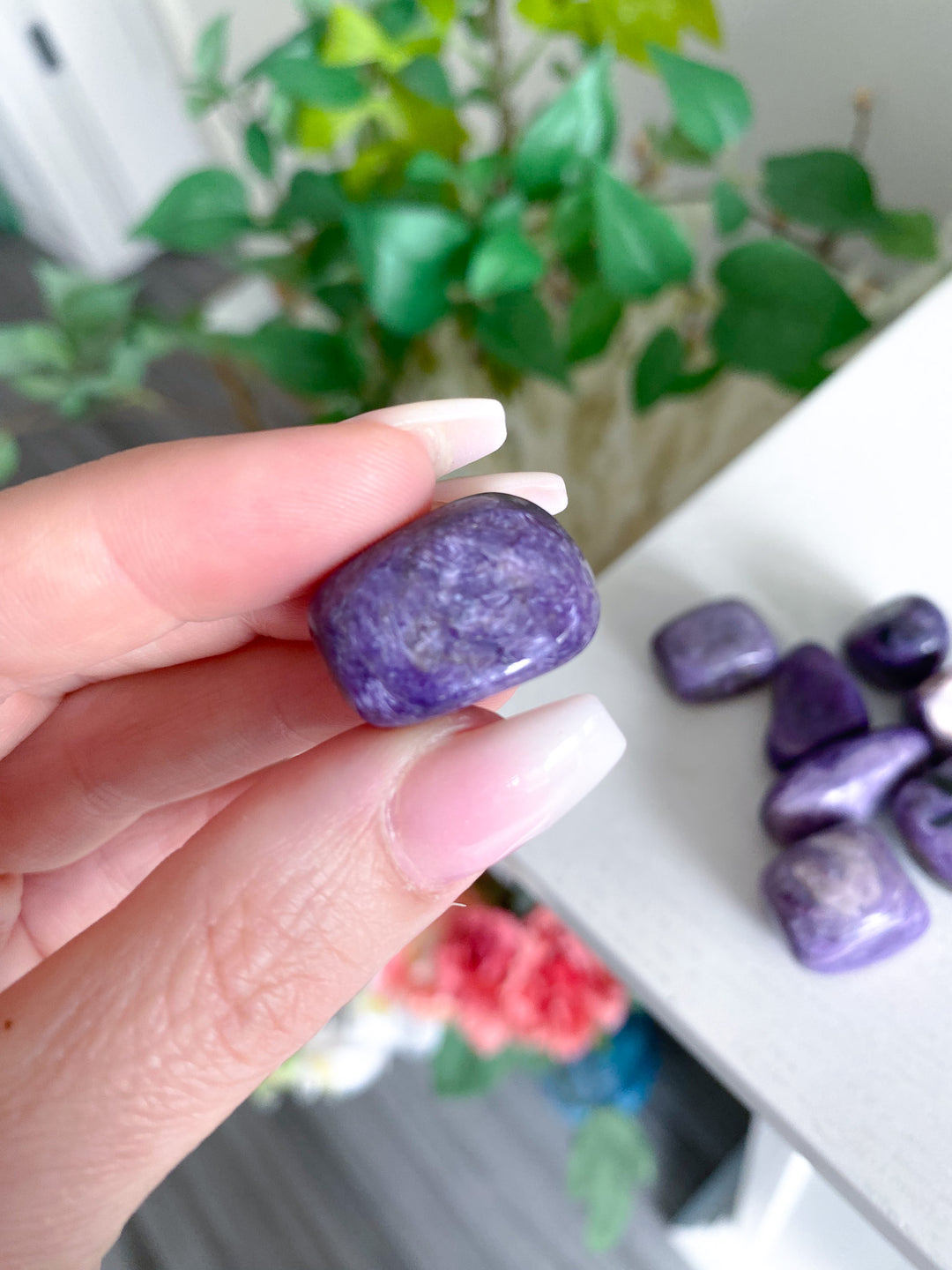 Chariote Tumble Stone - B Quality Polish