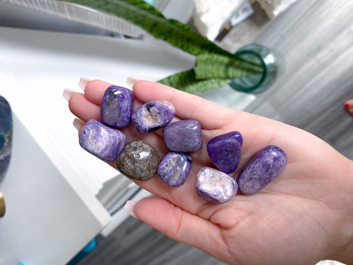 Chariote Tumble Stone - B Quality Polish