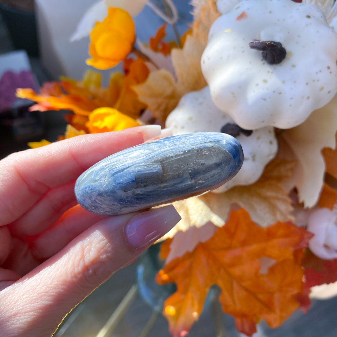 Blue Kyanite Palm with Inclusion 