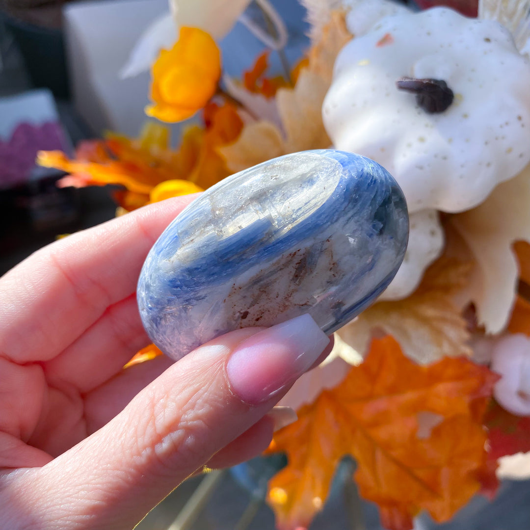 Blue Kyanite Palm with Inclusion 