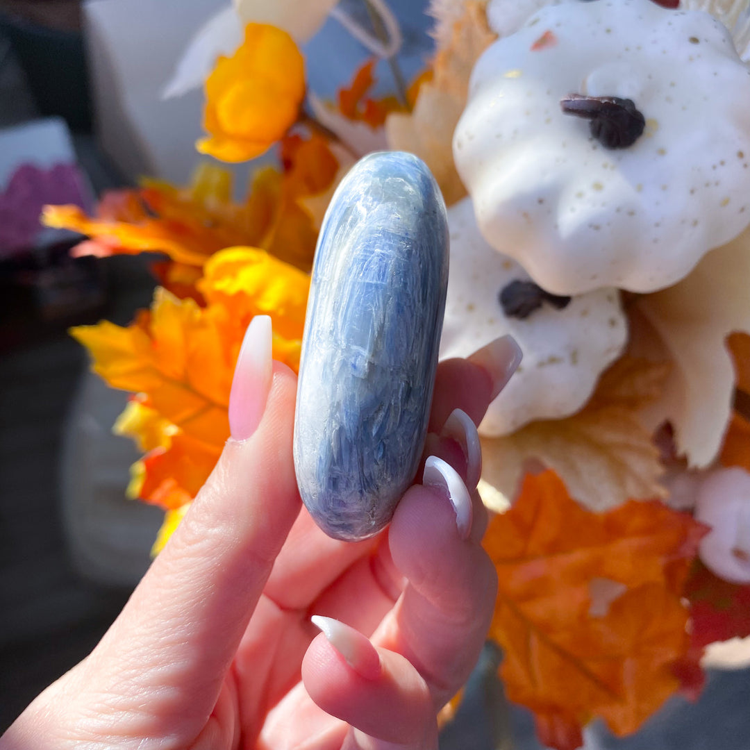 Blue Kyanite Palm with Inclusion 