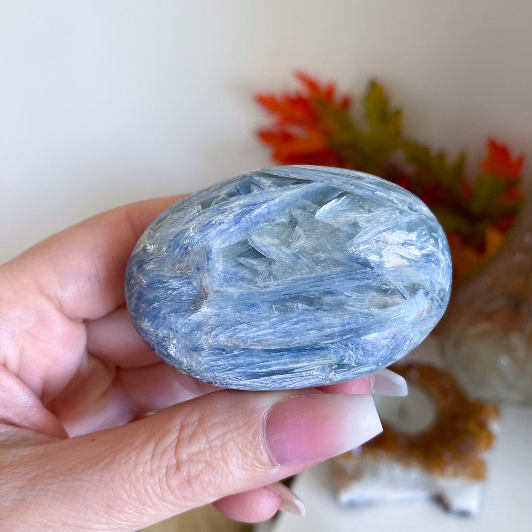 Blue Kyanite Palm with Inclusion 