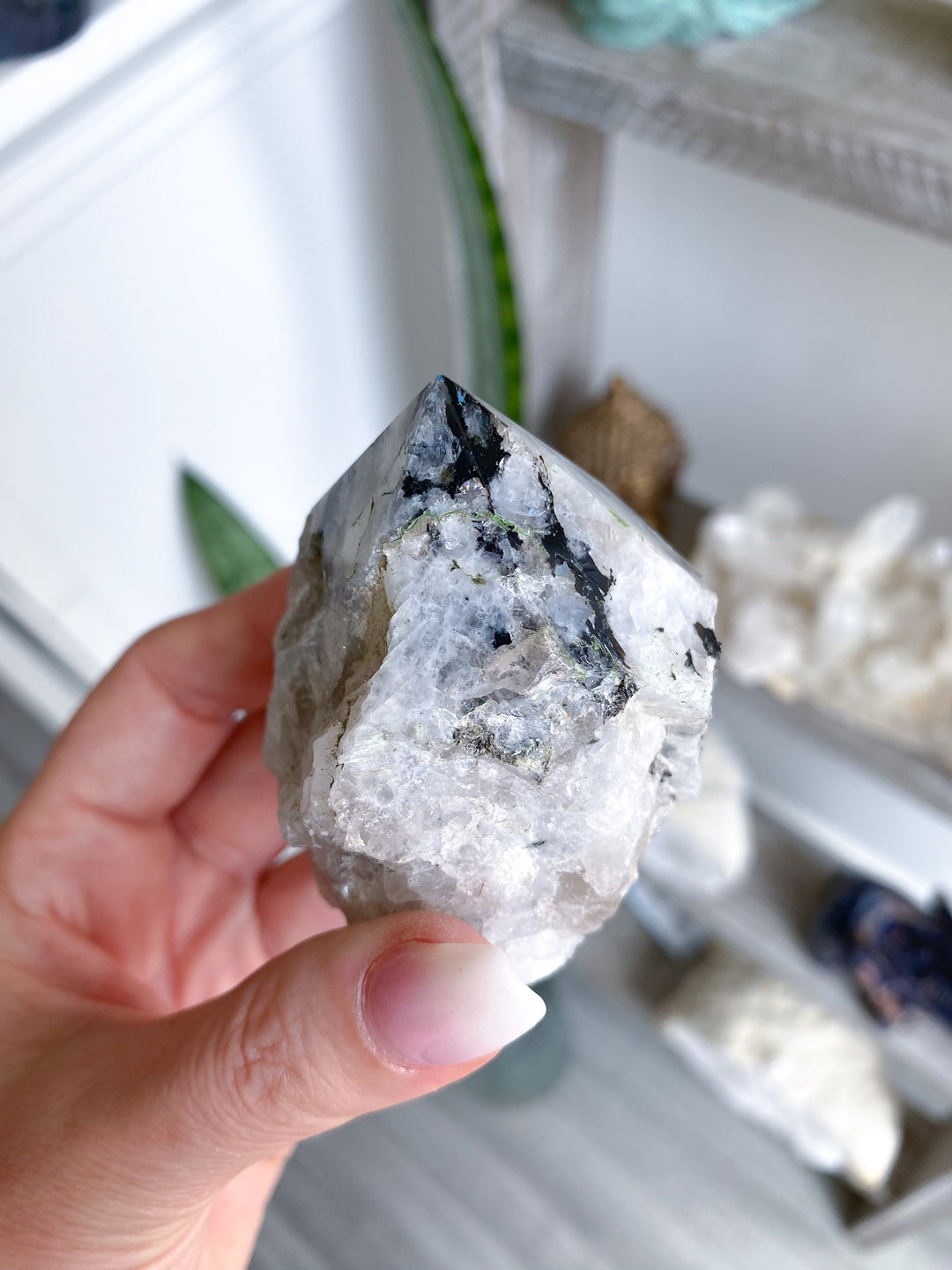 Large Rainbow Moonstone Top Polish 
