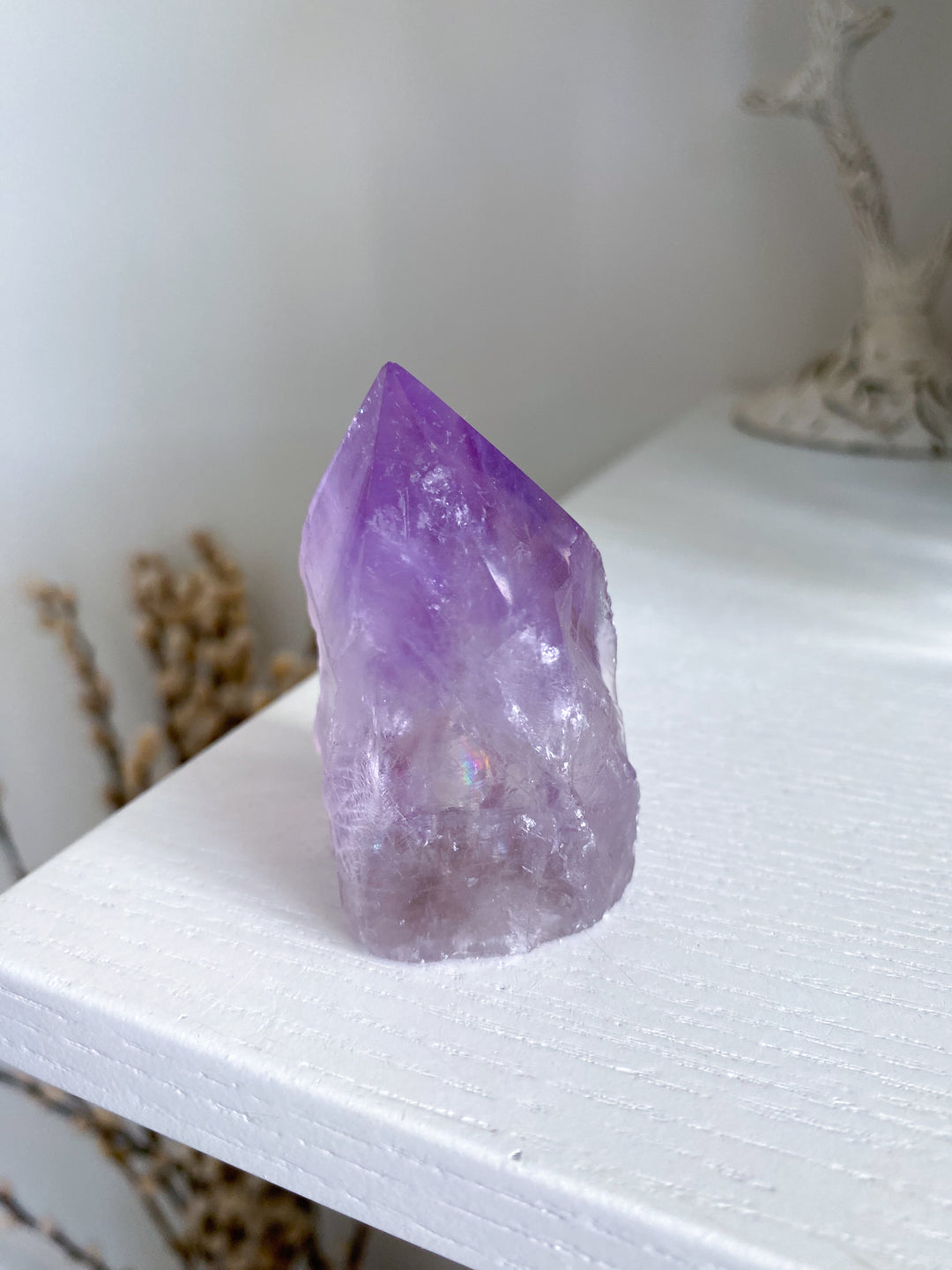 Chipped Tip Glassy Amethyst Top Polish Point #5