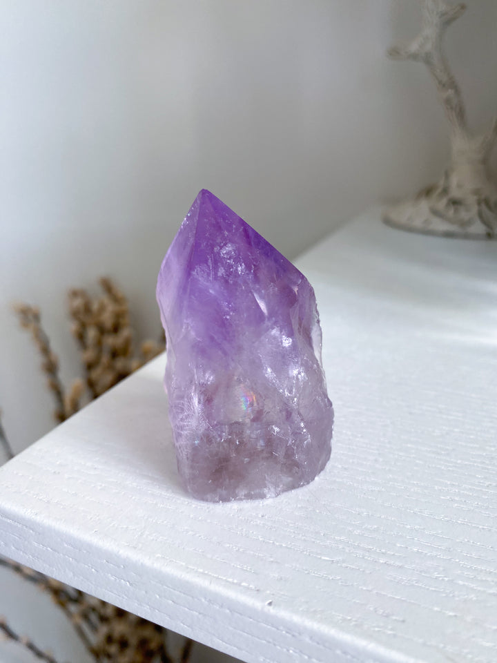 Chipped Tip Glassy Amethyst Top Polish Point #5