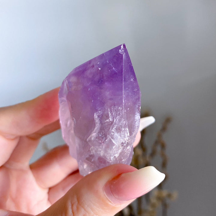 Chipped Tip Glassy Amethyst Top Polish Point #5