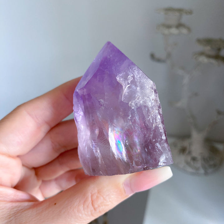Chipped Tip Glassy Amethyst Top Polish Point #5