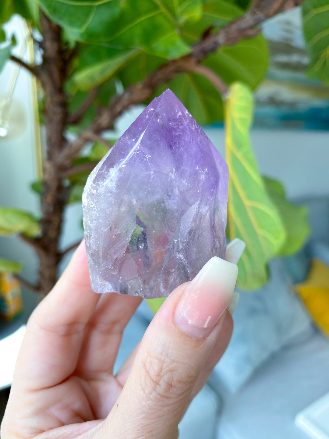 Chipped Tip Glassy Amethyst Top Polish Point #5