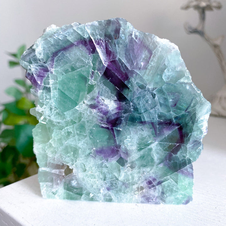 Purple and Green Rainbow Fluorite Slab 