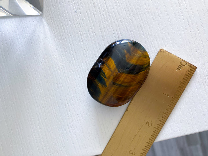 Blue Tigers Eye Palm #4