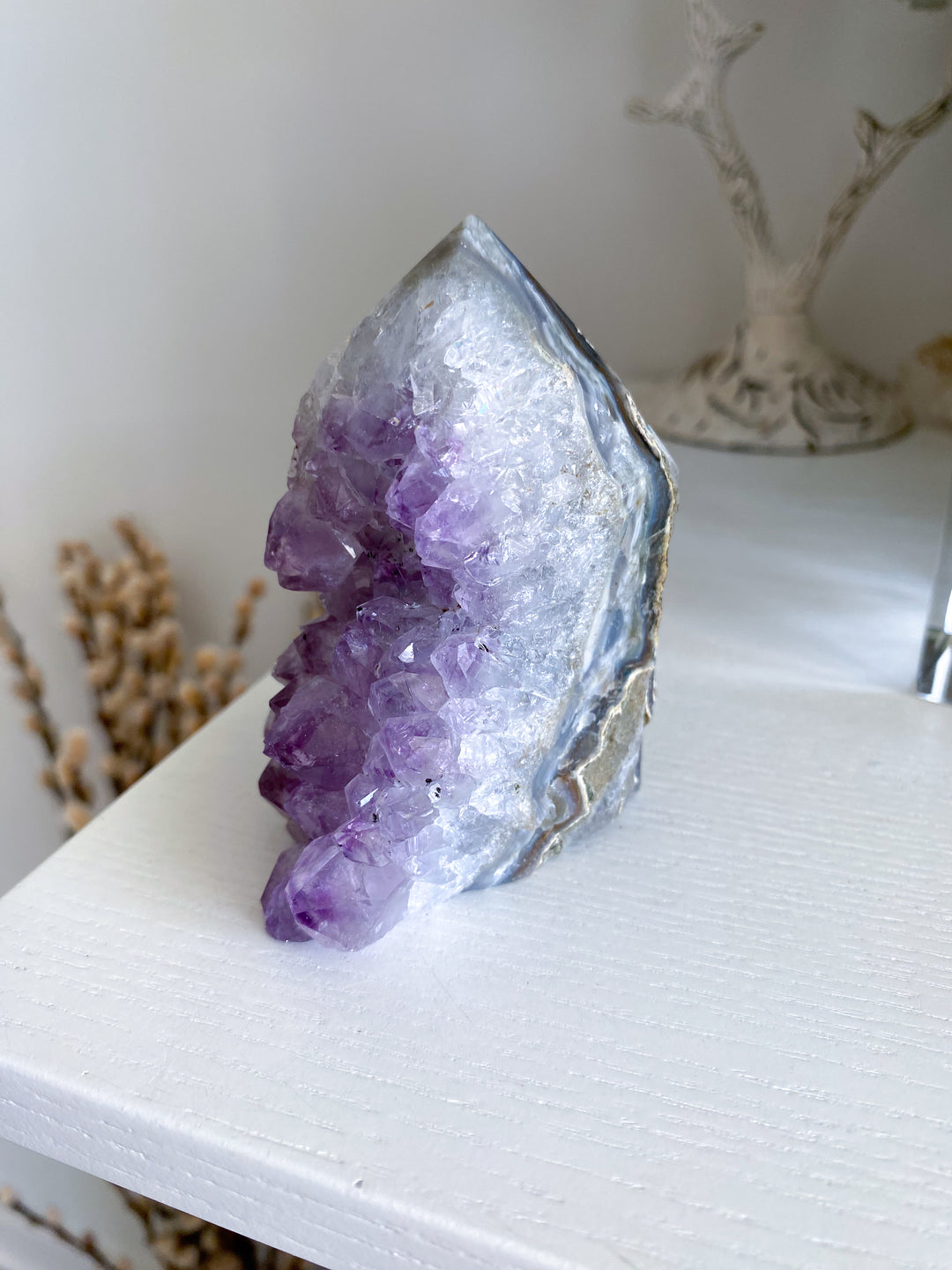 Amethyst Cluster #5
