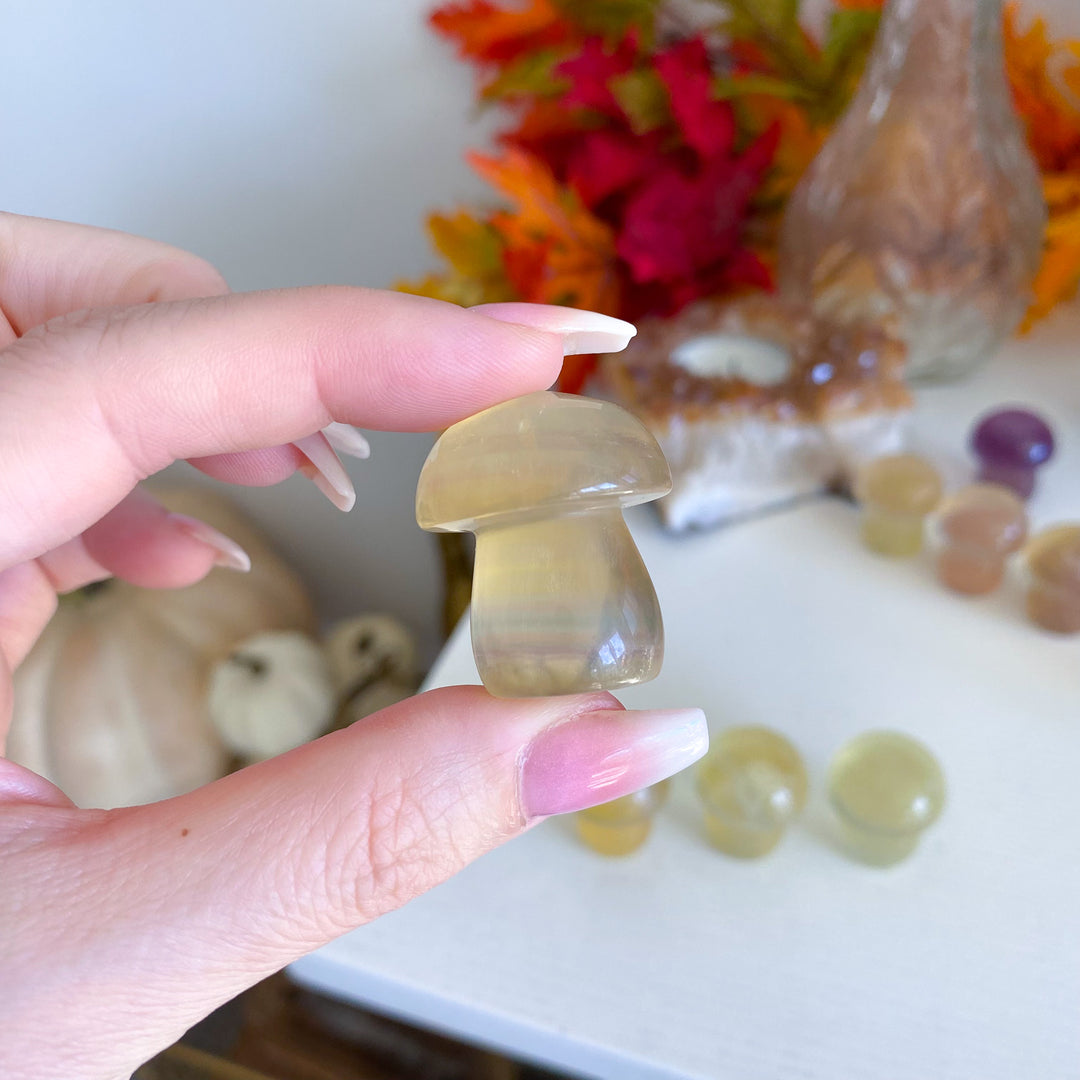 Chunky Small Yellow Fluorite Mushroom
