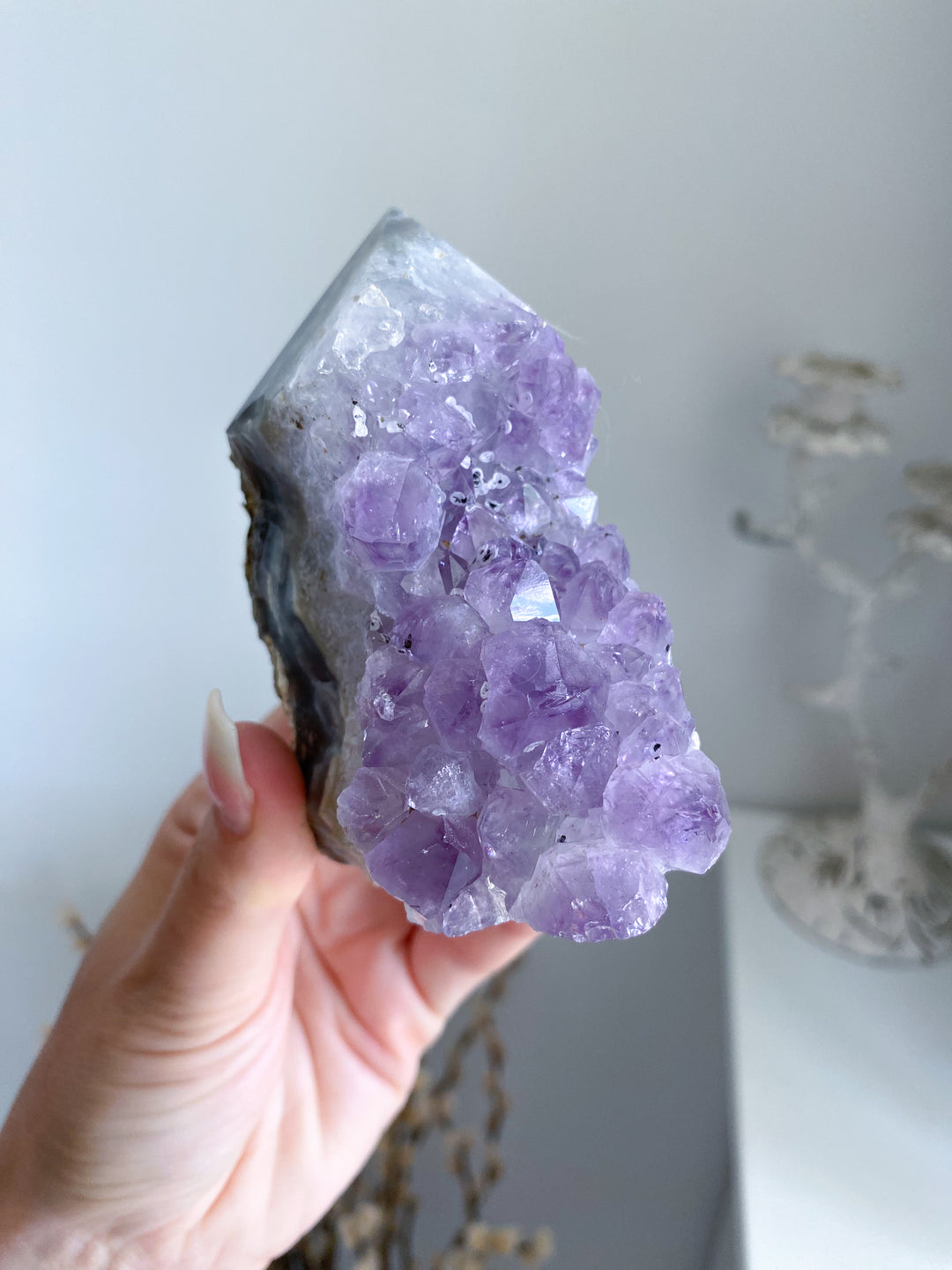 Amethyst Cluster #5