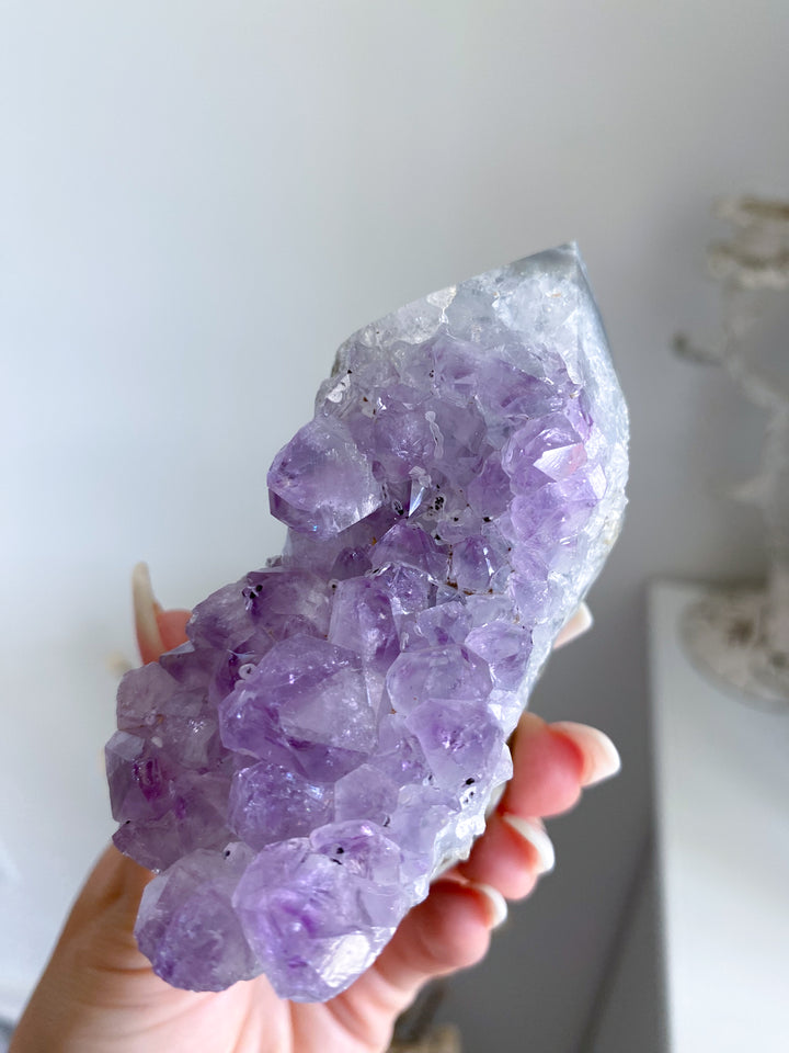 Amethyst Cluster #5