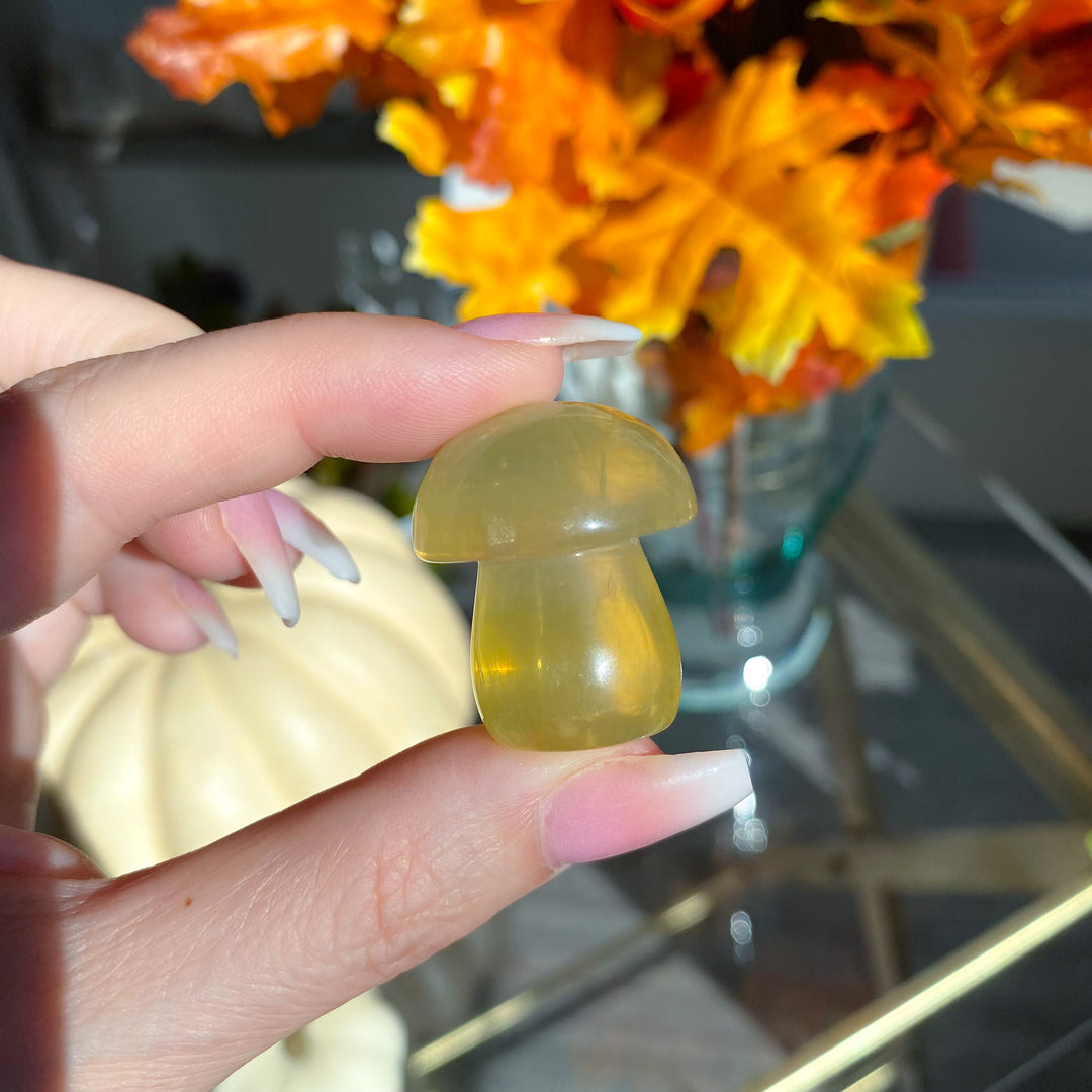 Chunky Small Yellow Fluorite Mushroom