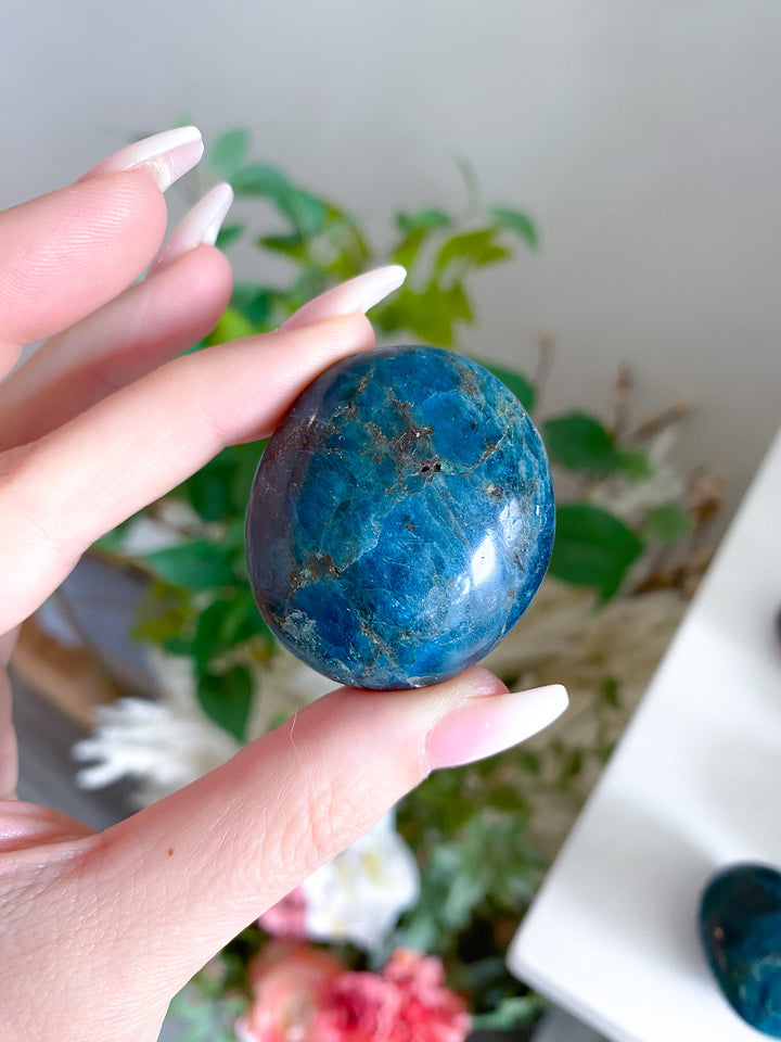 Blue Apatite Small Pebble Palm
