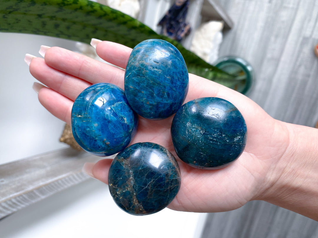 Blue Apatite Small Pebble Palm