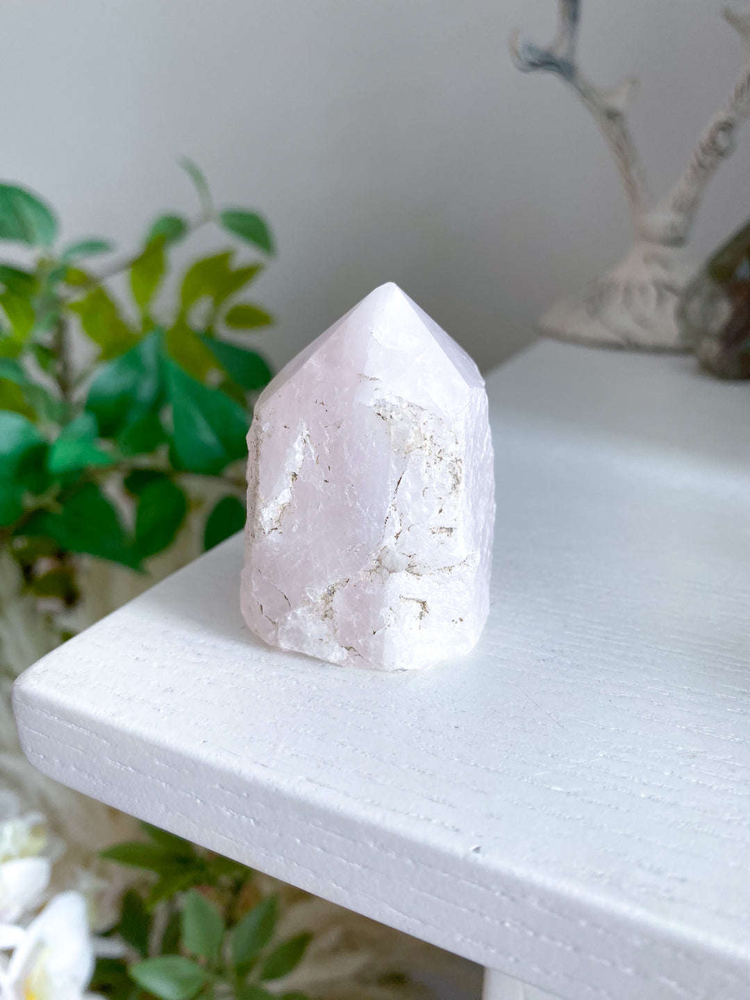 Small Pale Rose Quartz Top Polish 