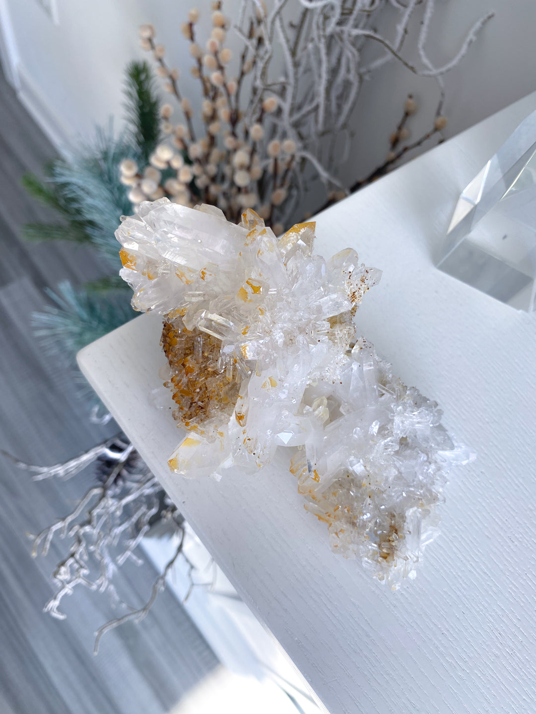 Sea Lion Iron Coated Quartz with Siderite Cluster #7