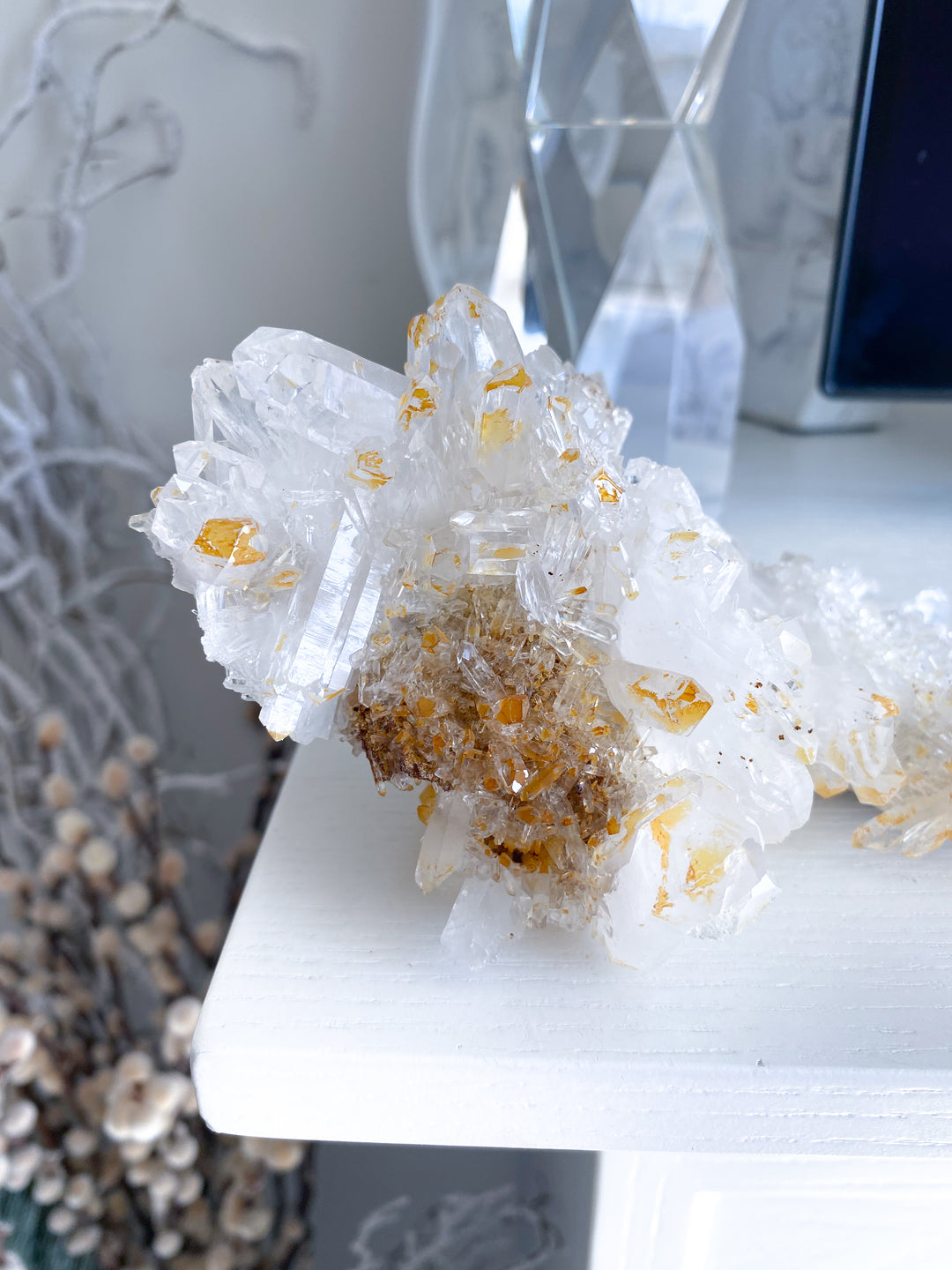 Sea Lion Iron Coated Quartz with Siderite Cluster #7
