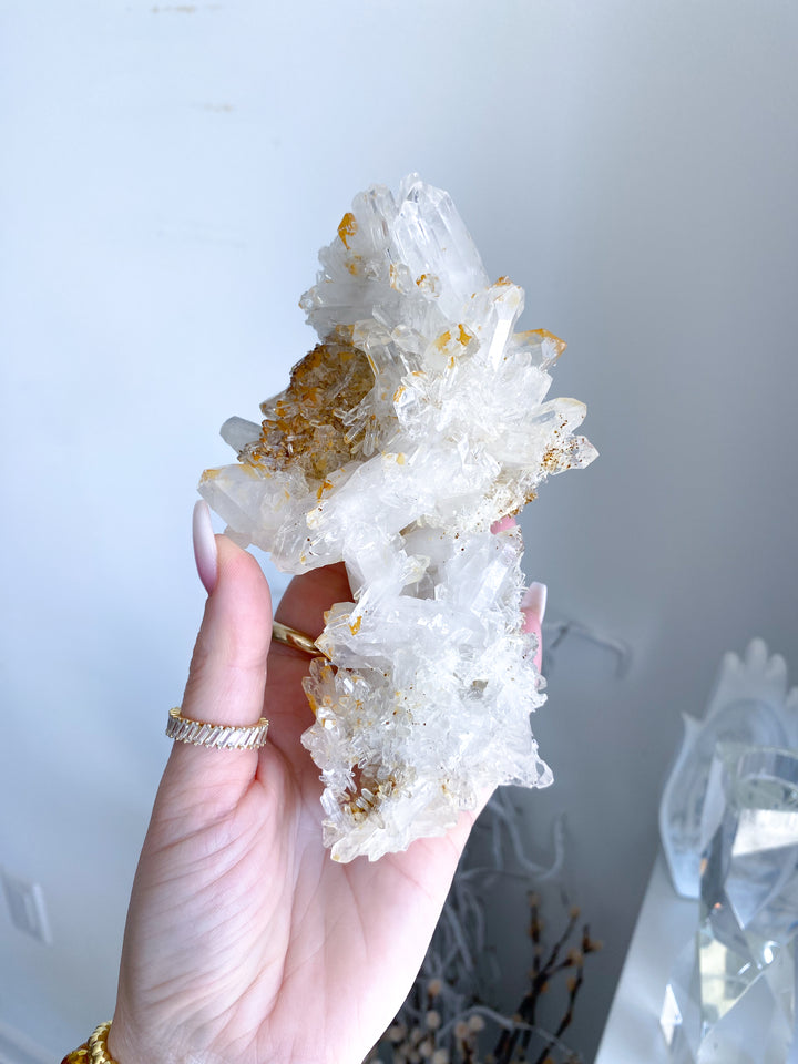 Sea Lion Iron Coated Quartz with Siderite Cluster #7