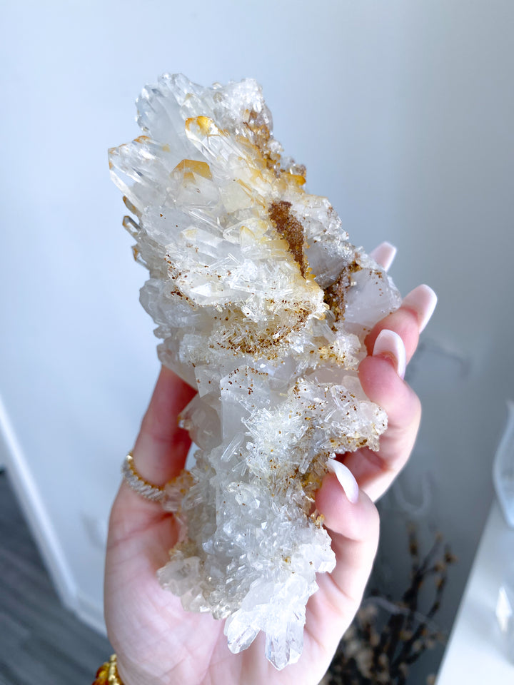Sea Lion Iron Coated Quartz with Siderite Cluster #7
