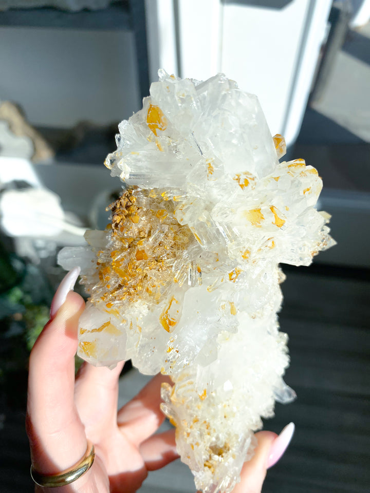 Sea Lion Iron Coated Quartz with Siderite Cluster #7