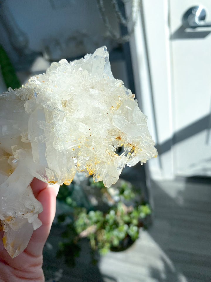 Sea Lion Iron Coated Quartz with Siderite Cluster #7