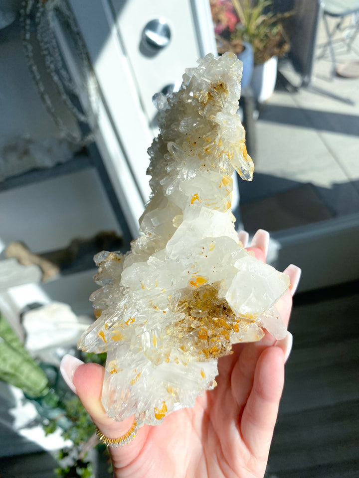 Sea Lion Iron Coated Quartz with Siderite Cluster #7